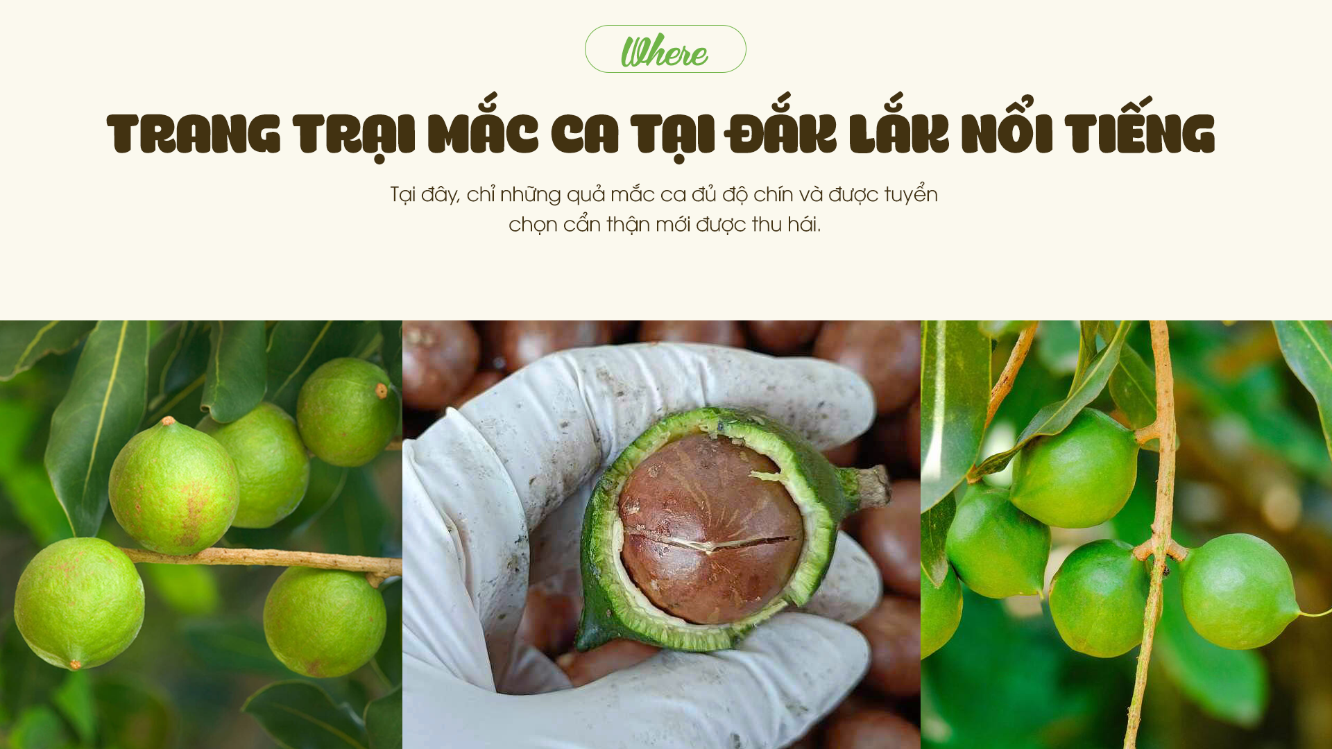 BÌNH PHƯỚC