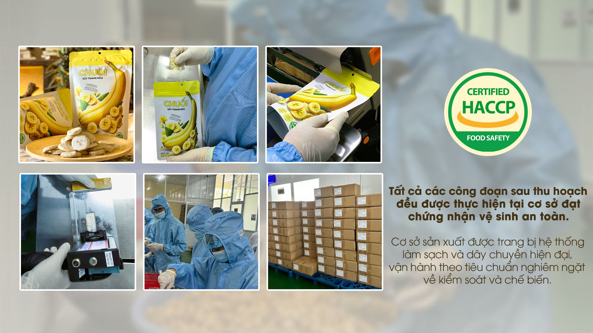 HACCP