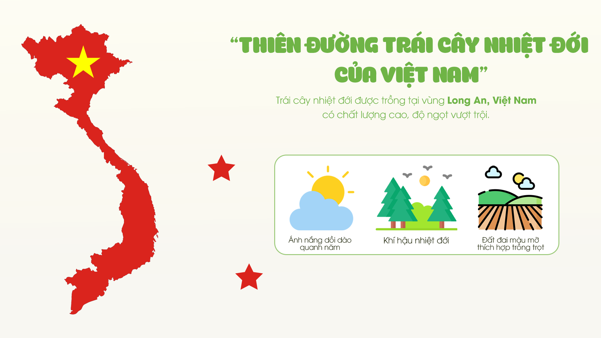 trang 3.jpg