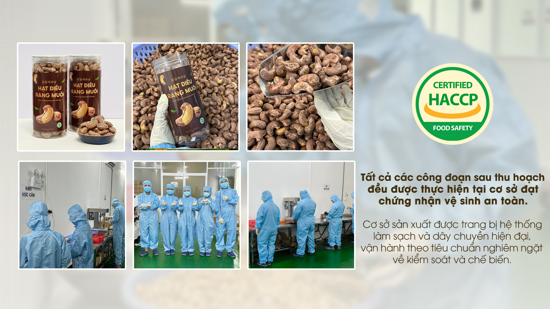 haccp haccp
