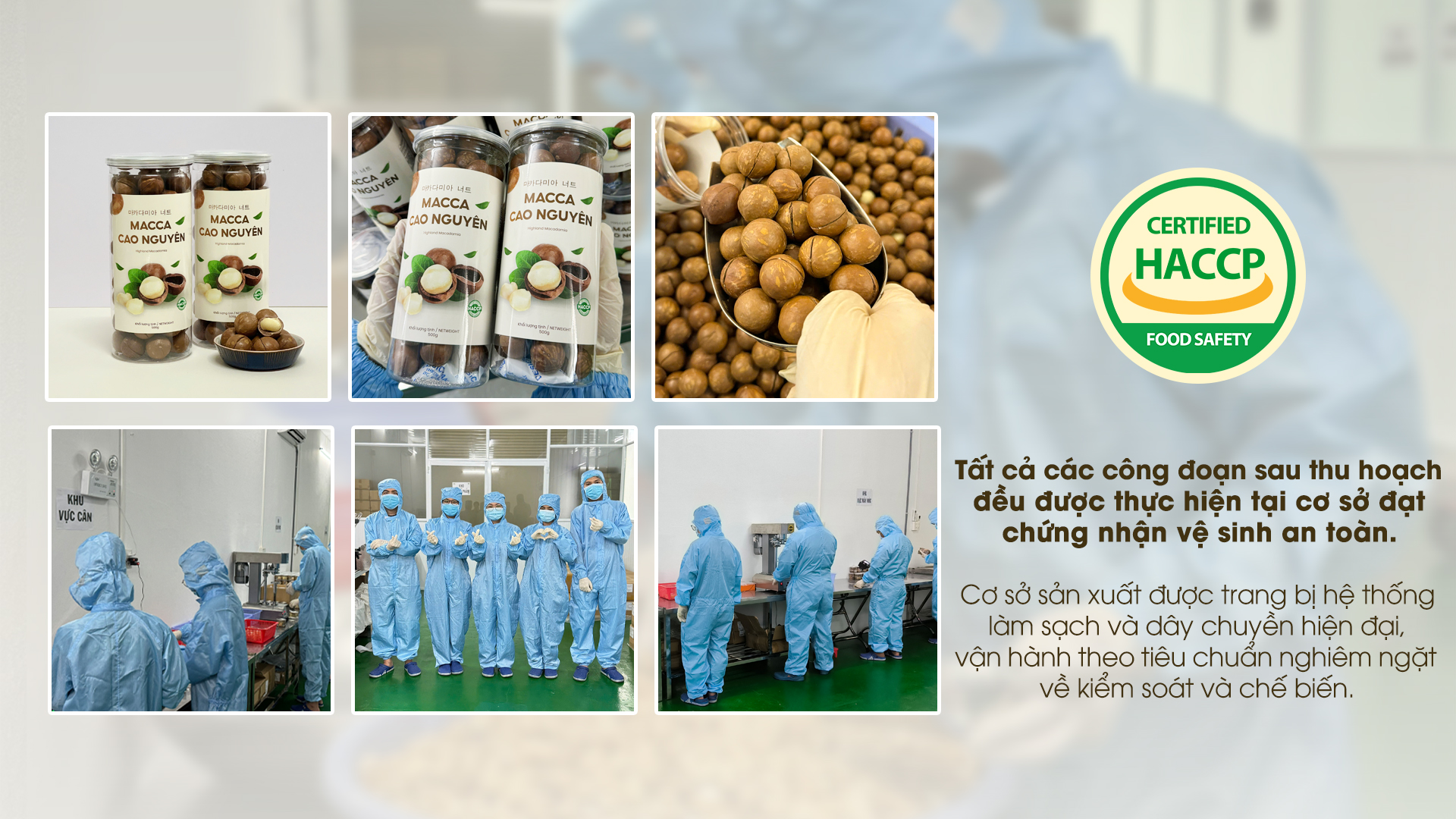 haccp mc