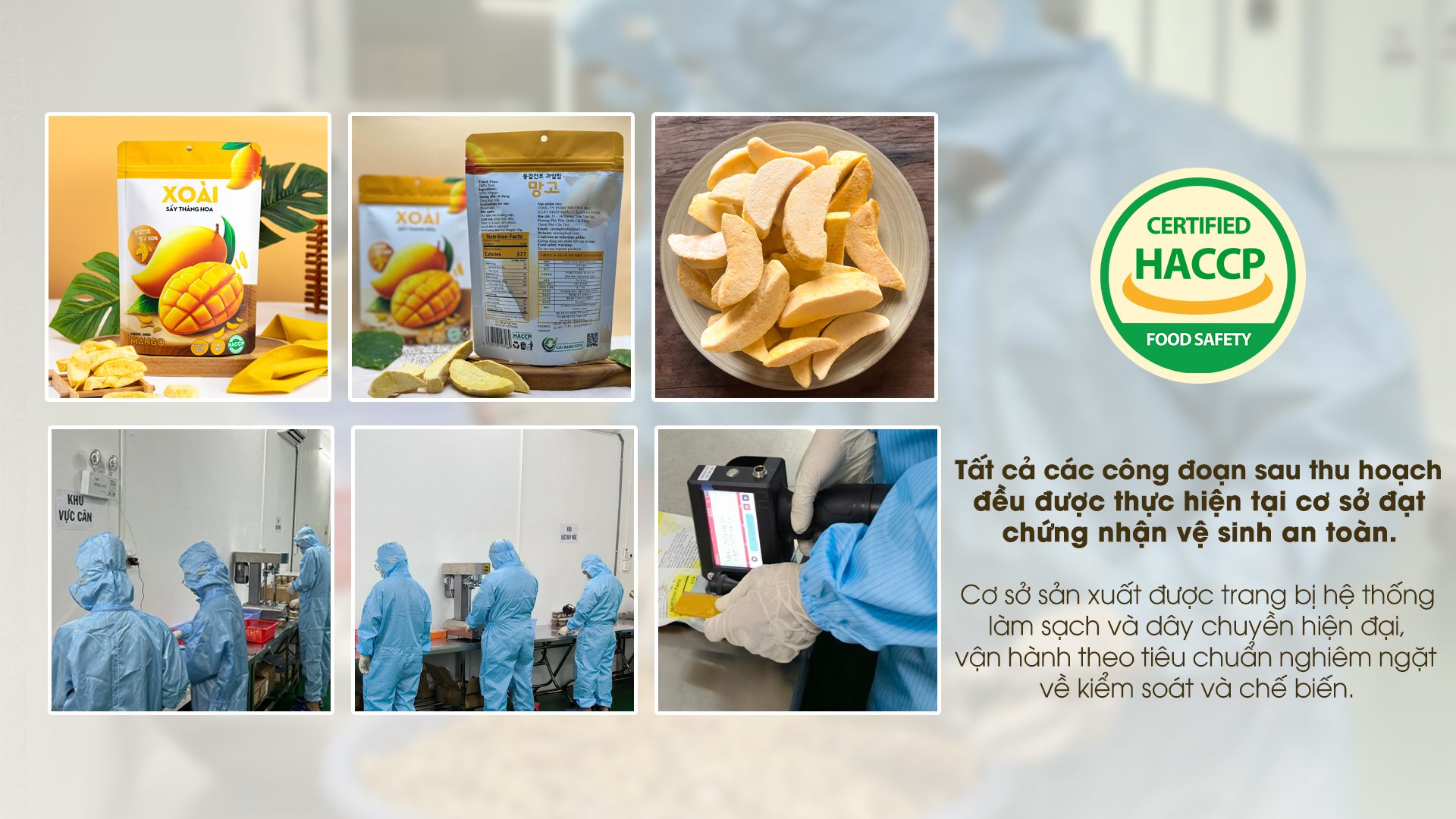 HACCP HACCP