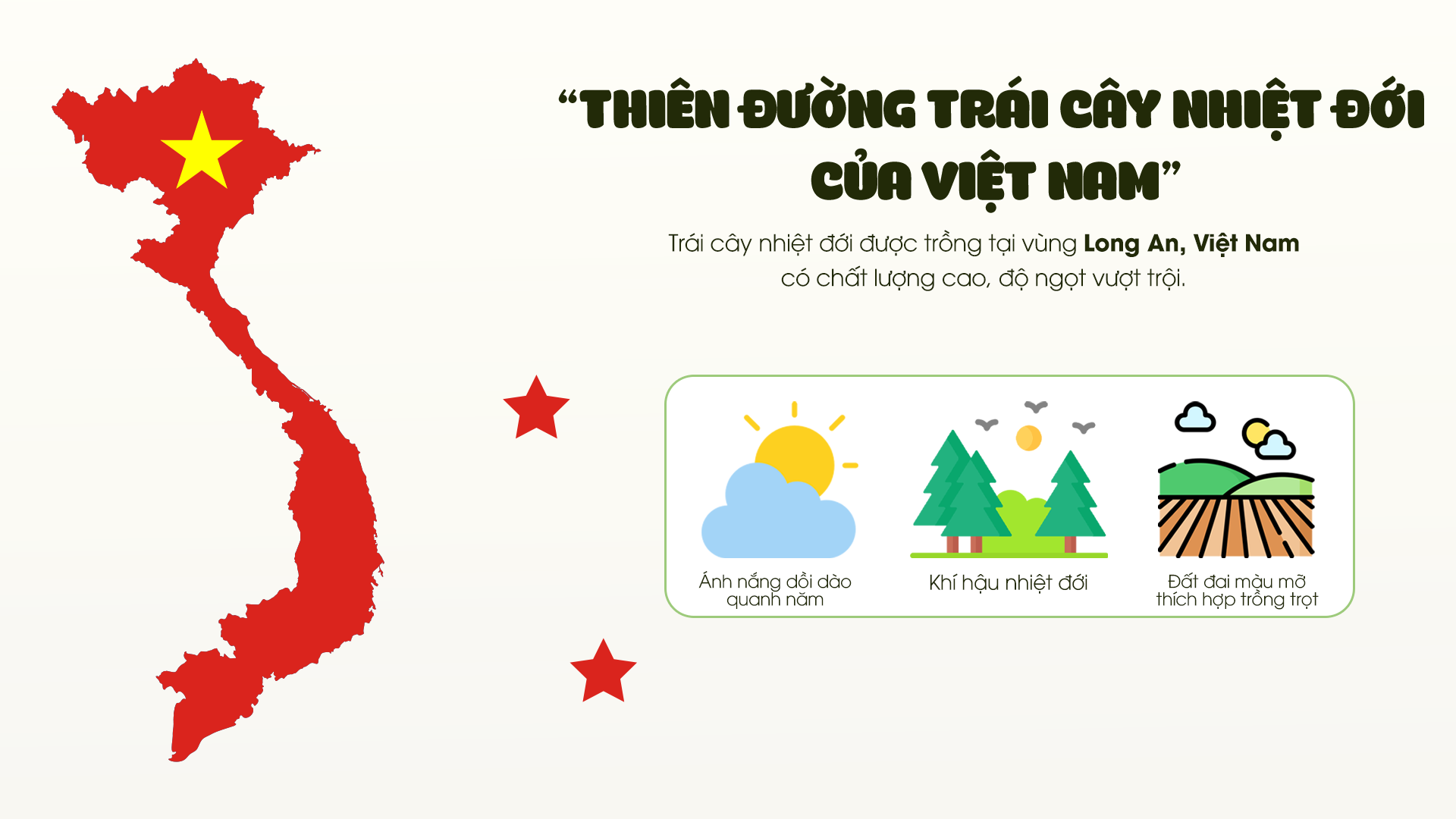 dứa 3